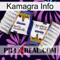 Kamagra Info 12